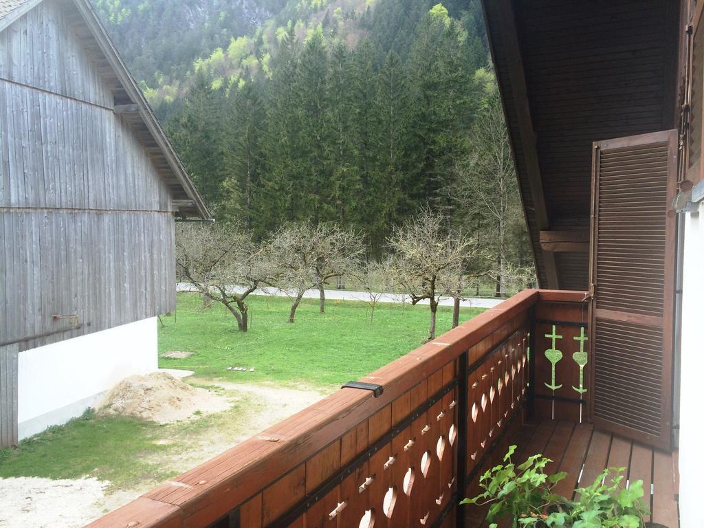 Farm Stay Juvanija Solčava Extérieur photo