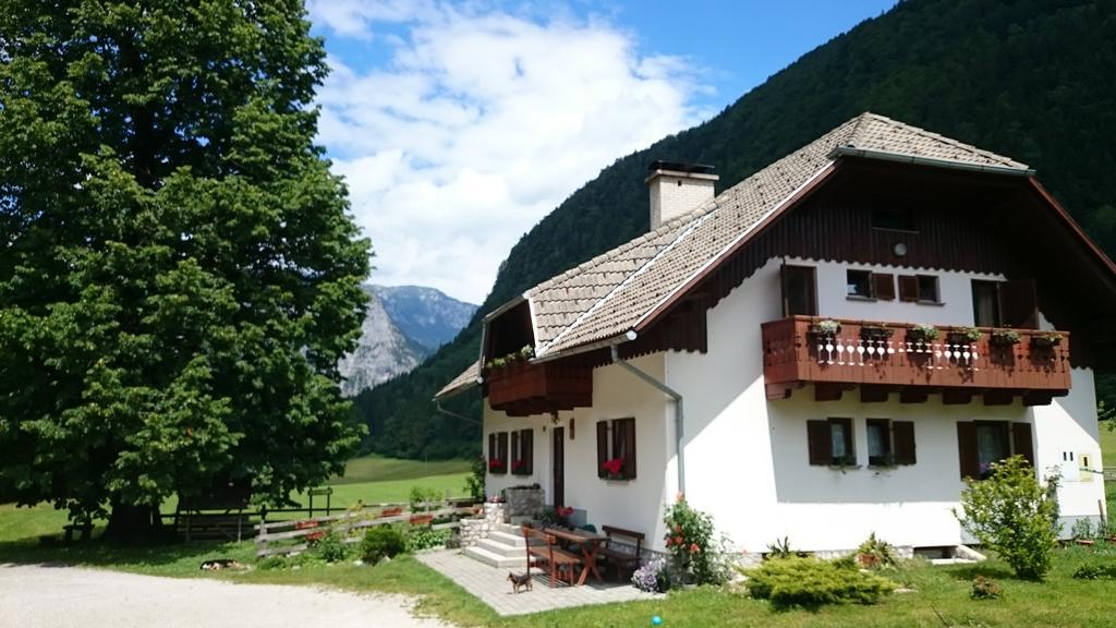 Farm Stay Juvanija Solčava Extérieur photo