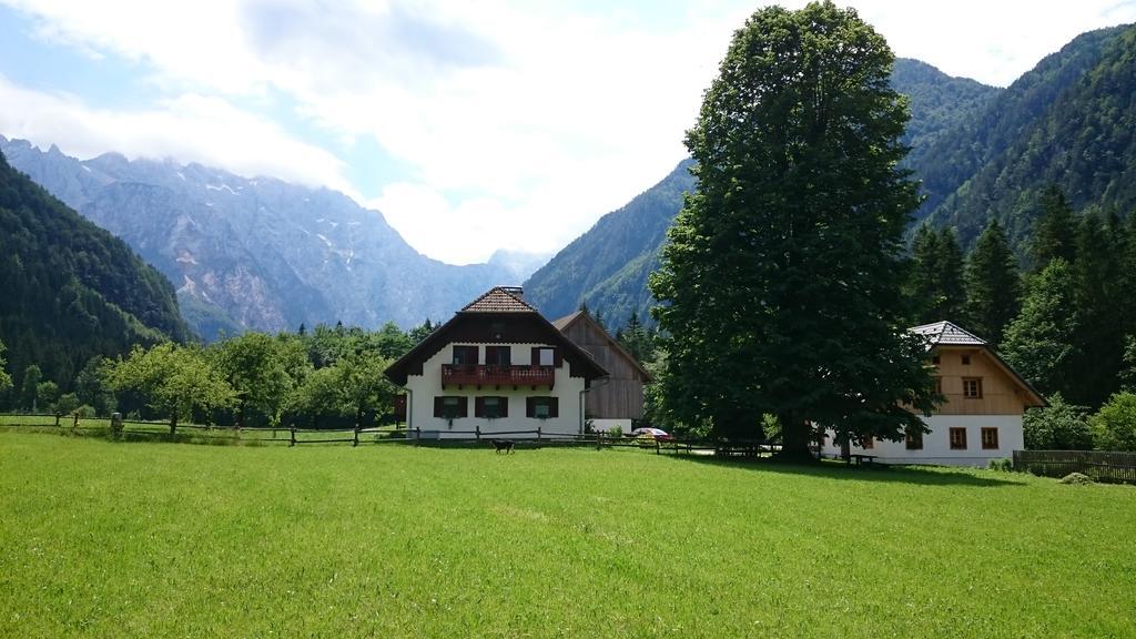 Farm Stay Juvanija Solčava Extérieur photo