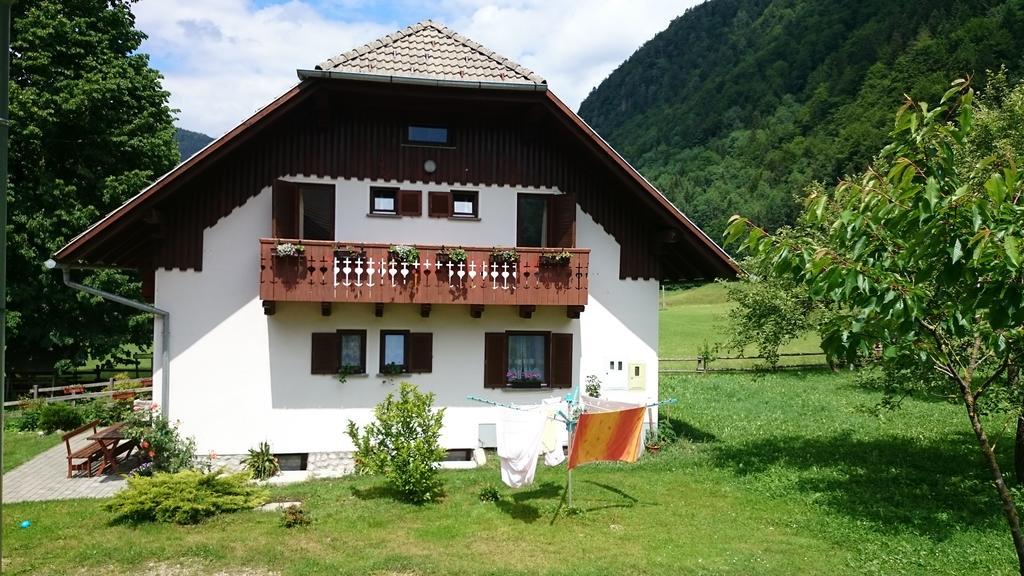 Farm Stay Juvanija Solčava Extérieur photo
